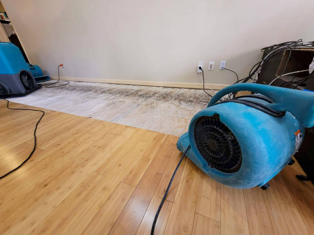 Professional Sewage Cleanup technician working in Belle, MO